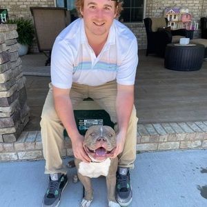 Meet your Posher, Bailey